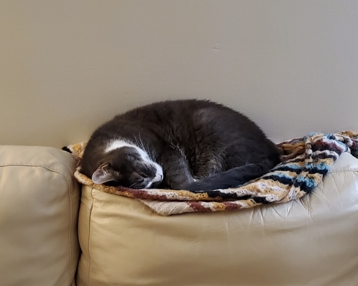 Introvert Diaries – Blogmas Day&nbsp;21